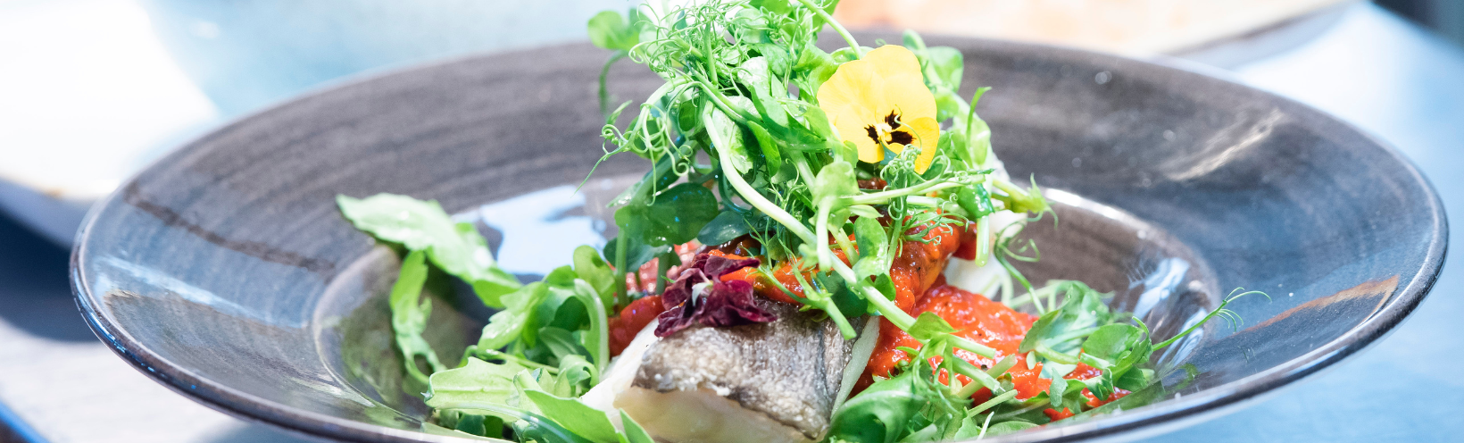 Food Banner 1640x496