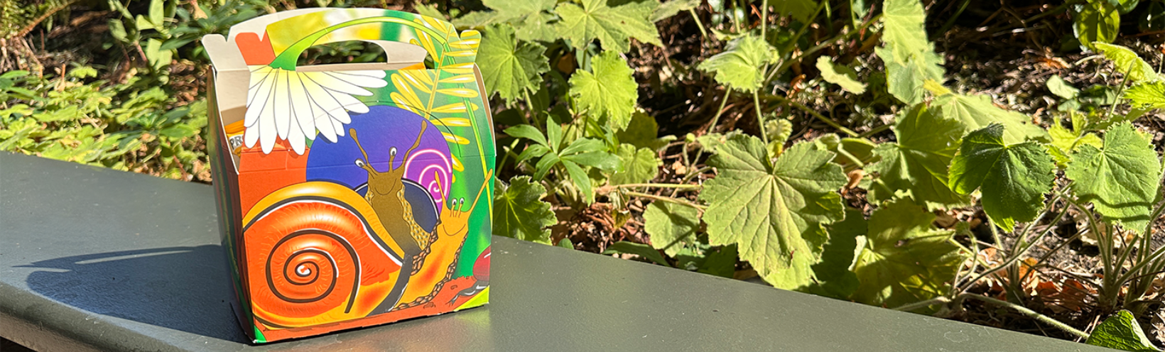 Kids Lunchbox Header