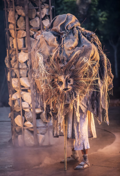 7 Spirit of the Wild Wood Disguise