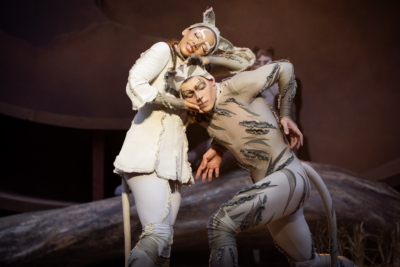 Cats Dress Rehearsal 13 Edit