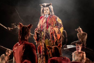 Cats Dress Rehearsal 87 Edit