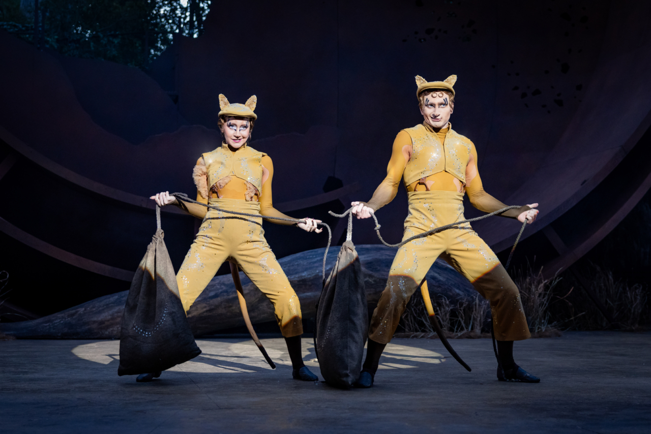 Cats Dress Rehearsal 38 Edit