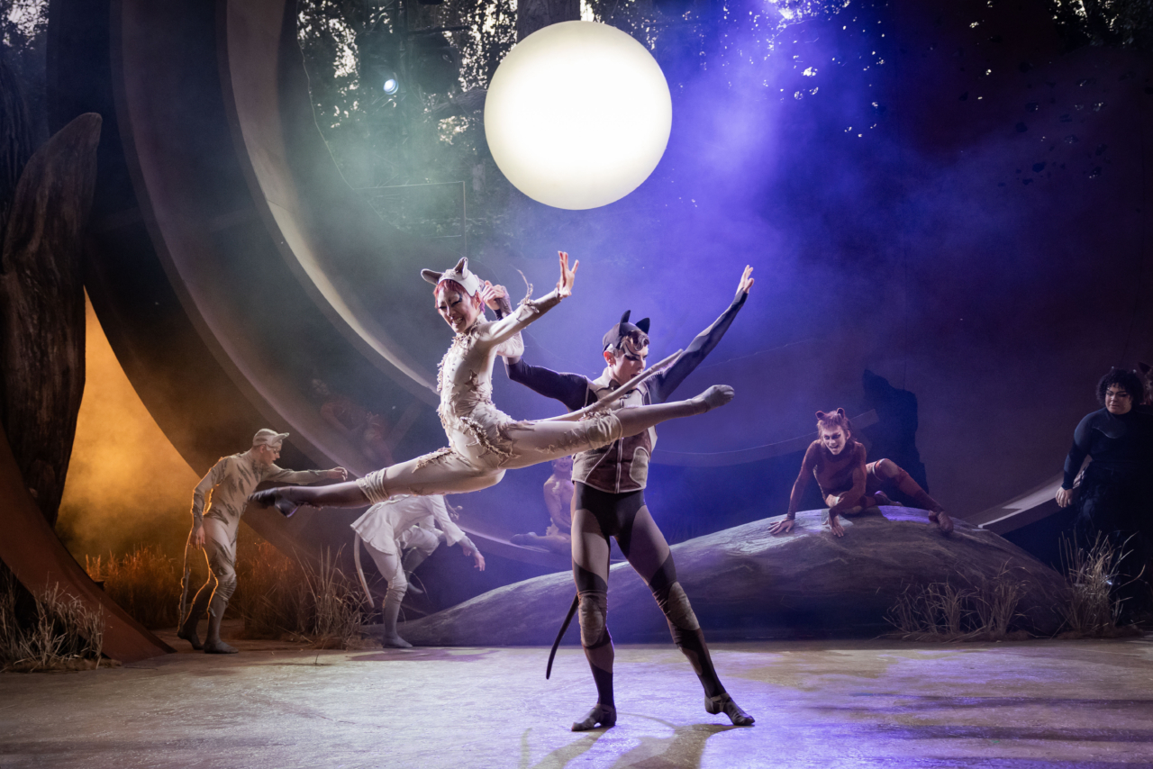 Cats Dress Rehearsal 63 Edit